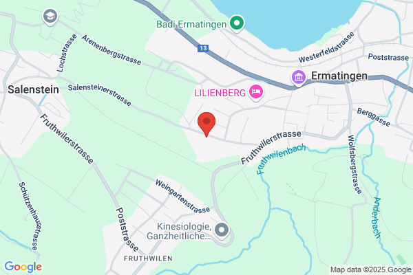 Altherr Import-Export