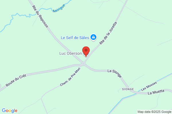 Luc Oberson Sàrl