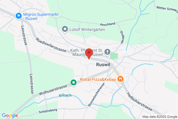Widmer Automobile