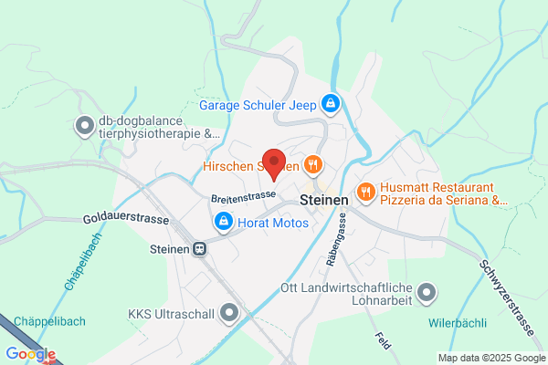 Halti Steinen Schule