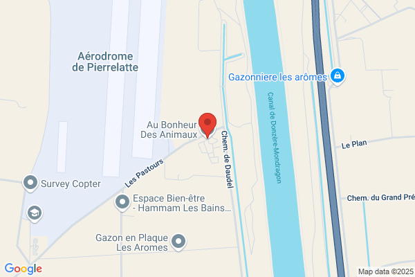 Au bonheur des animaux