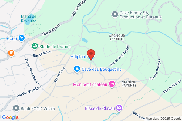 Altiplant SA