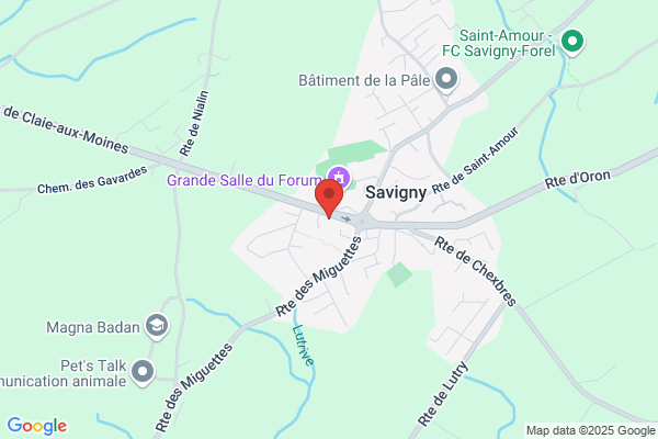 Garage des Trois-Sapins