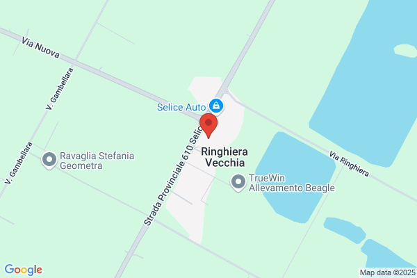 VBI Bruno Venditti Sàrl