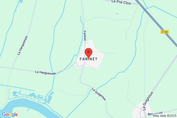 Roger Farinet