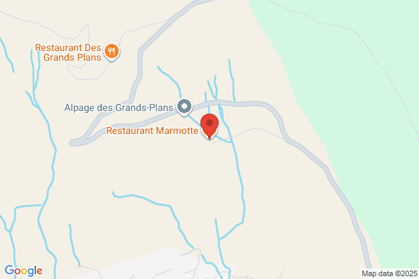 Restaurant Mayer
