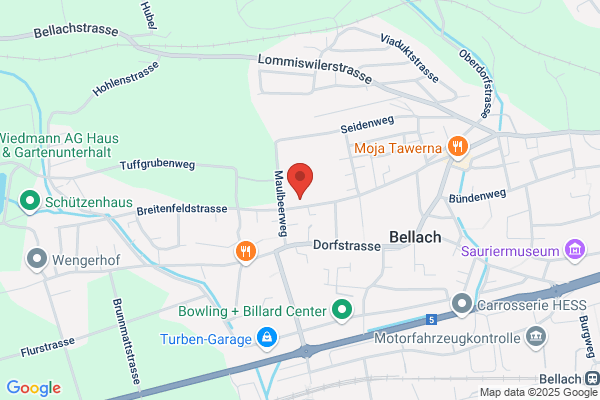 P. Eggimann DeLaval-Service