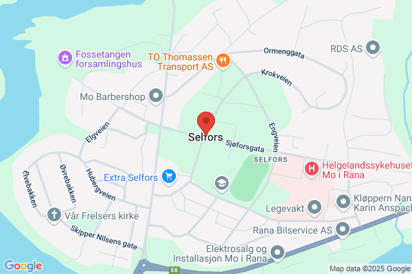 Selfors und Co.