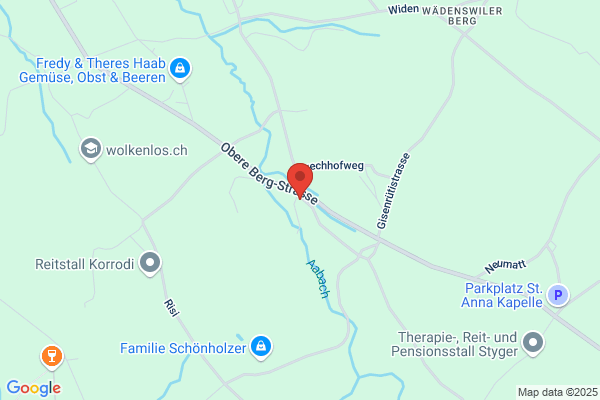 Benz Transporte GmbH