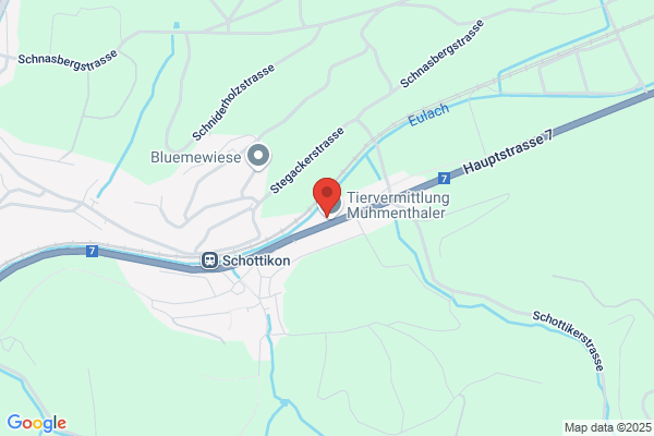 Gabriel Gmuender AG