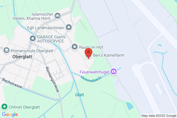 Ben's Kamelfarm