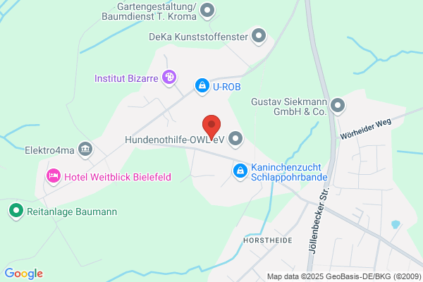 Christine Bruetsch Consulting