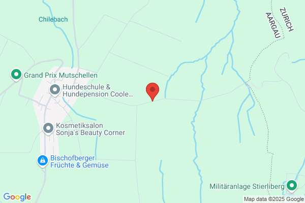 Architekturbuero O. Brem Friedlisberg