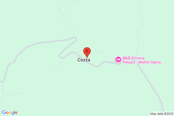 Tenuta + Co.