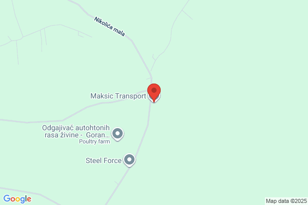 Export Import Maksic