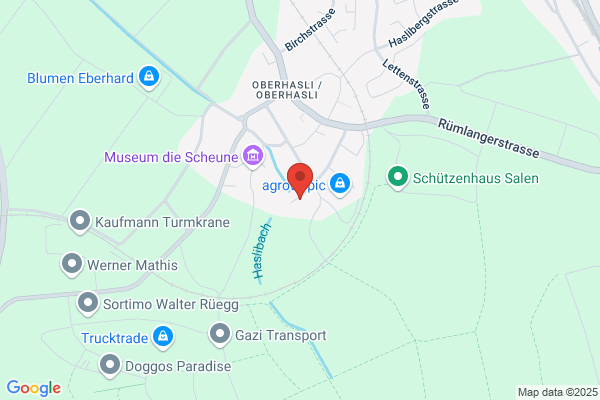 FACSA AG
