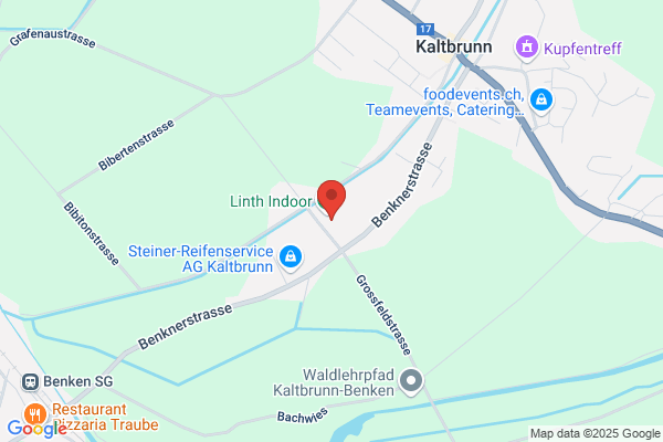 Federnfabrik Niederoest AG