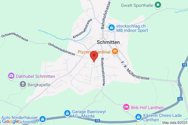 Schnell in Form | Bruno Schmutz