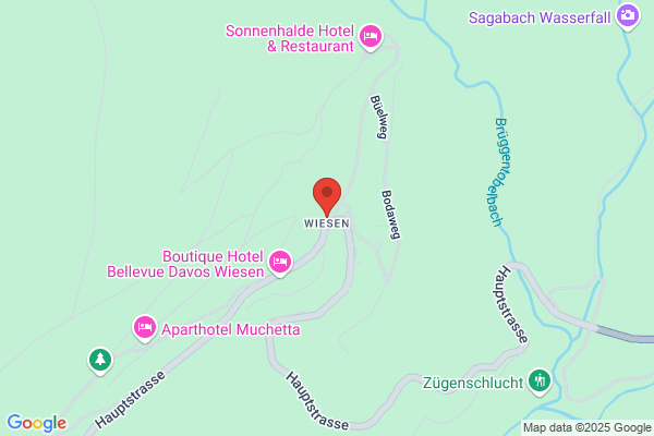 Schweizer Skischule Wiesen