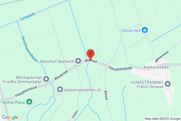 Moomba GmbH