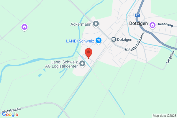SPS Swiss Parcel Service