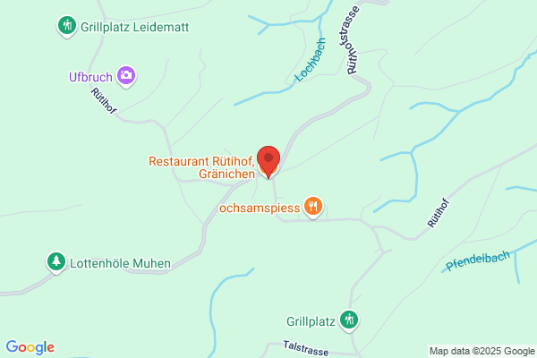 Wirtshaus Ruetihof AG