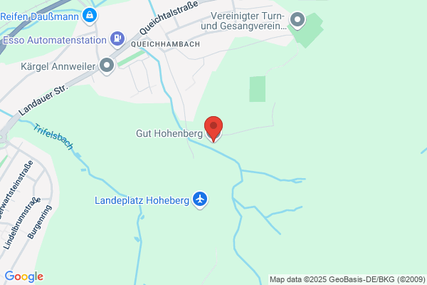 Arthur-Widmer-Stiftung fuer therapeutisches Reiten