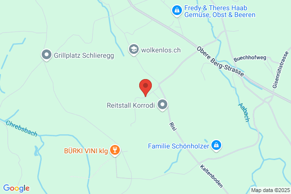 Hansruedi Korrodi