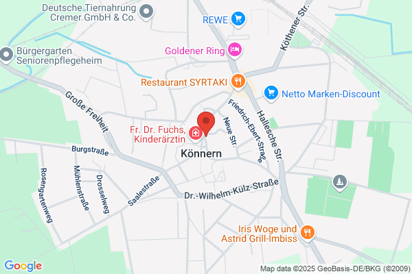 b + f projekt management