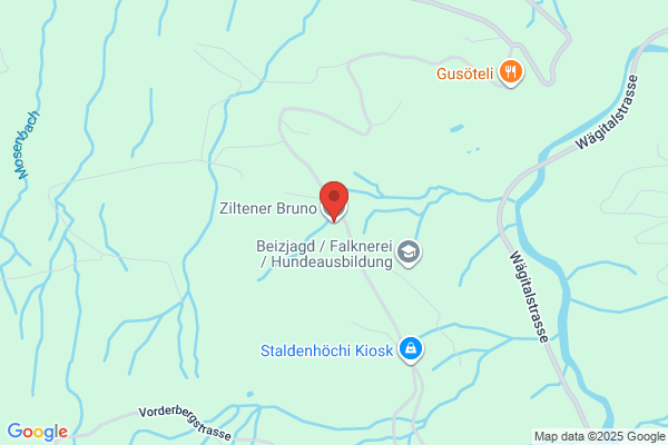 Bruno Ziltener AG