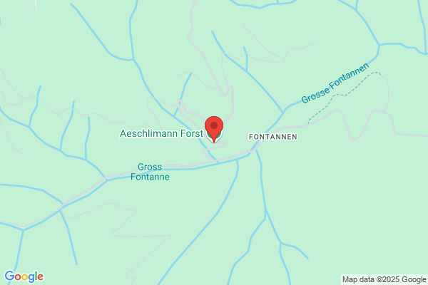 Aeschlimann Forst AG