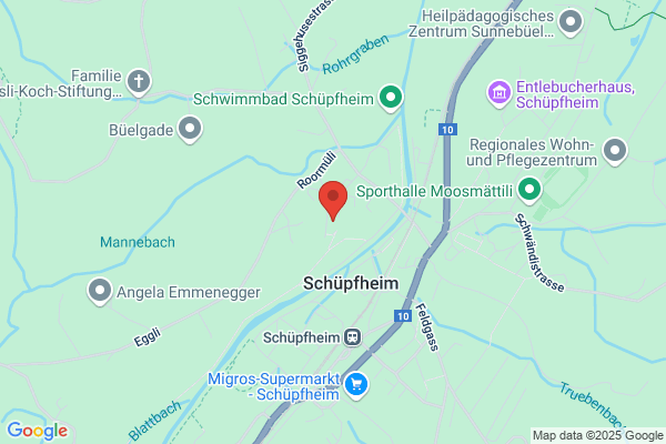 Sprecher Networks