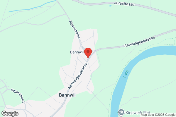 anyWood ag