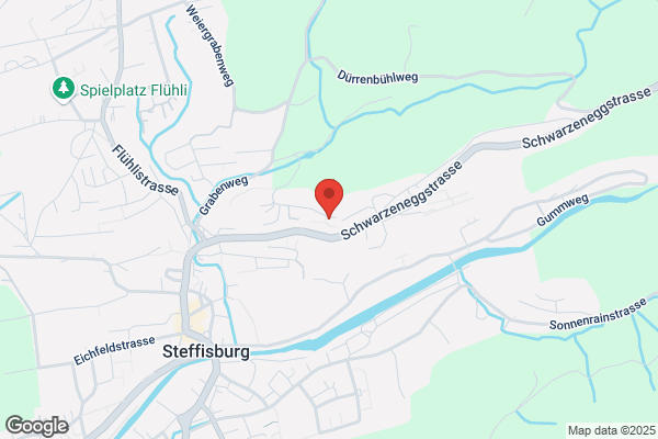 Maurer Hansruedi
