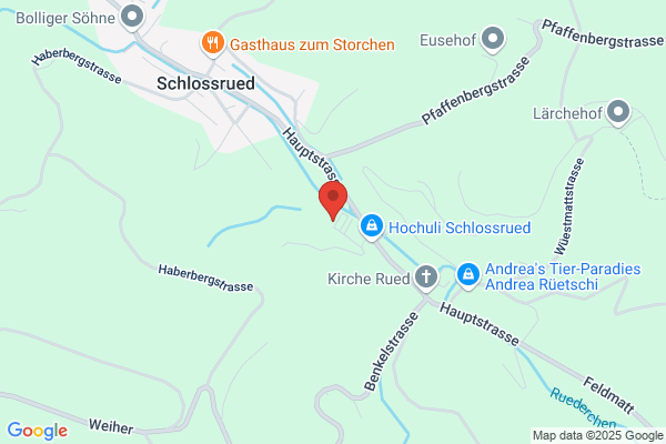 Auto Schwegler