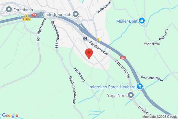 Biomass Process Solutions AG