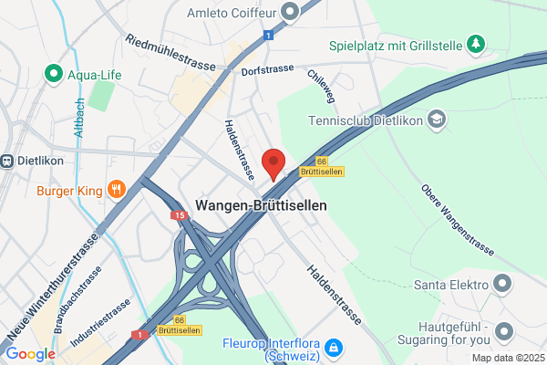 Safe Network Nuesperli Security und Cie