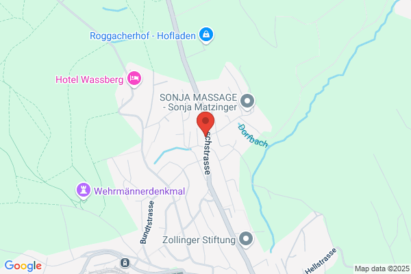 Wyss Consulting GmbH