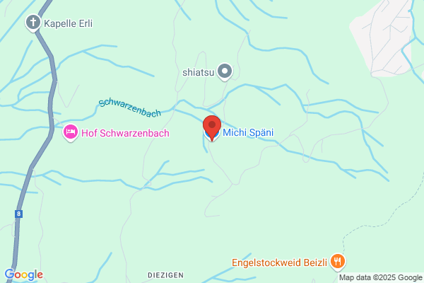 Michi Späni GmbH
