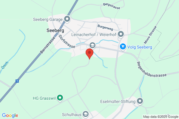 Landi-Koppingen Seeberg