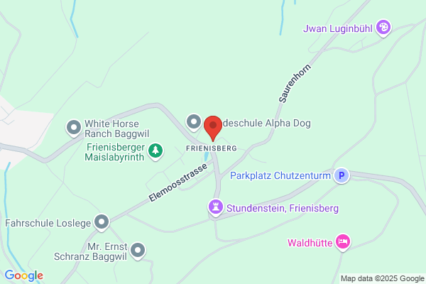 Alters- und Pflegeheim Frienisberg
