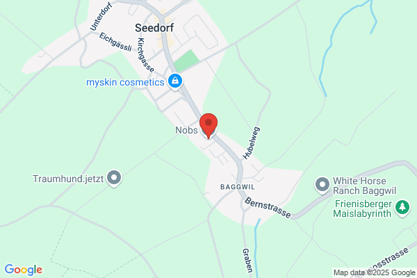 Gebrueder Nobs Baggwil