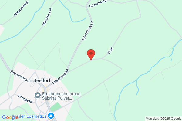 Ligonet GmbH