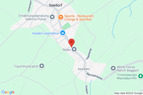 Martin Nobs
