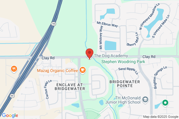 Dog Academy