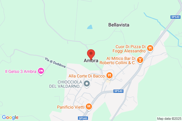 Ambra
