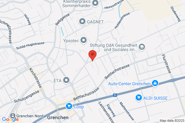 Vereinigte Pignonsfabriken AG