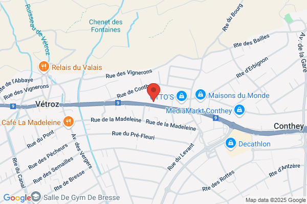 Alpes Audit SA