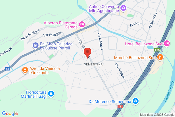 Salone N. Gianini