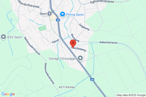 RE Celik und Co.